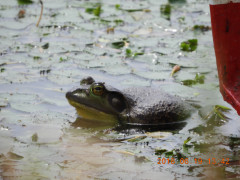 DSCN0256.JPG