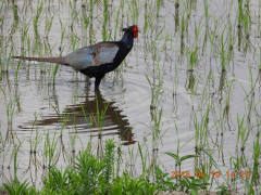 DSCN0282.JPG