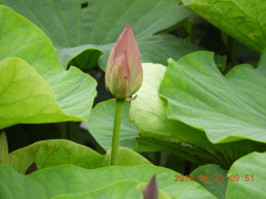 DSCN0405.JPG