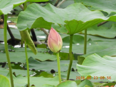 DSCN0407.JPG