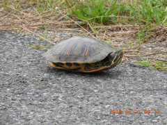 DSCN0369.JPG