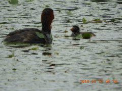 DSCN0381.JPG