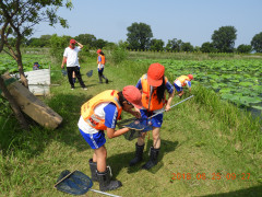 DSCN0556.JPG