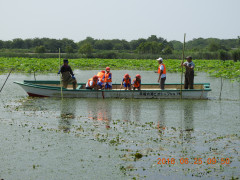 DSCN0570.JPG