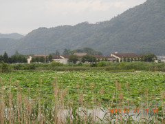 DSCN0768.JPG