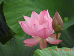 DSCN0766.JPG