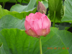 DSCN0765.JPG