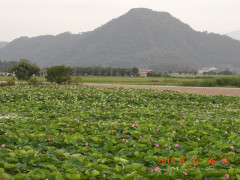 DSCN1025.JPG