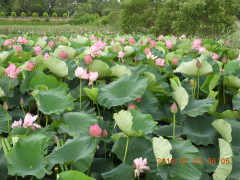 DSCN1027.JPG