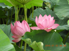 DSCN1029.JPG