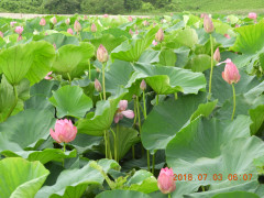 DSCN1031.JPG