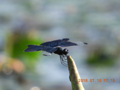 DSCN9979.JPG