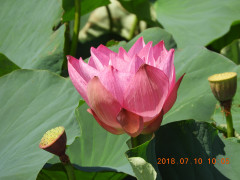 DSCN9914.JPG