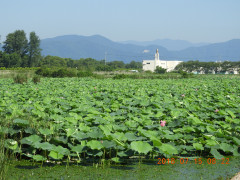 DSCN0032.JPG