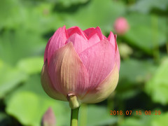DSCN0034.JPG