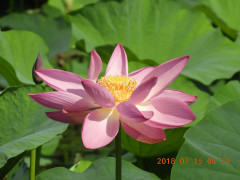 DSCN0035.JPG