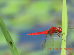 DSCN0037.JPG