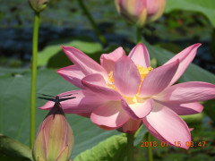 DSCN0058.JPG