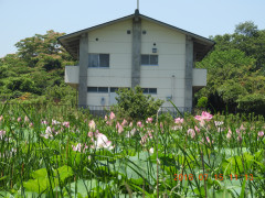 DSCN0070.JPG