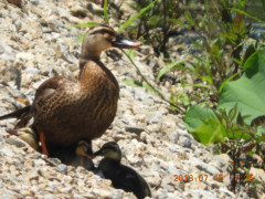 DSCN0110.JPG