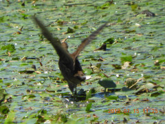 DSCN0093.JPG