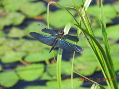 DSCN0044.JPG