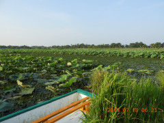 DSCN0153.JPG