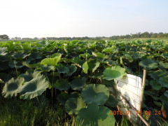 DSCN0155.JPG