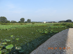 DSCN0156.JPG