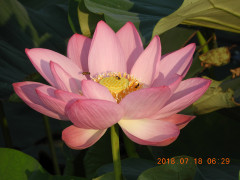 DSCN0158.JPG