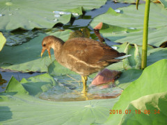 DSCN0175.JPG