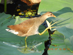 DSCN0187.JPG
