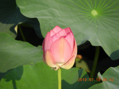 DSCN0189.JPG
