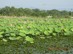 DSCN0191.JPG