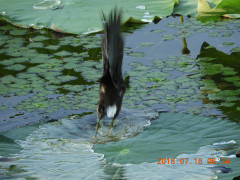 DSCN0174.JPG