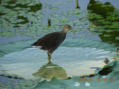 DSCN0171.JPG