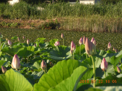 DSCN0231.JPG