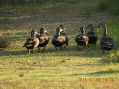 DSCN0228.JPG