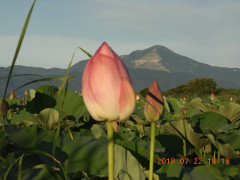 DSCN0240.JPG