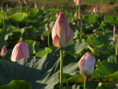 DSCN0232.JPG