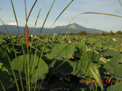 DSCN0243.JPG