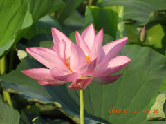 DSCN0320.JPG