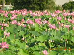 DSCN0322.JPG