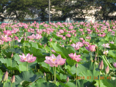 DSCN0328.JPG