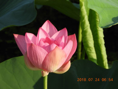 DSCN0346.JPG
