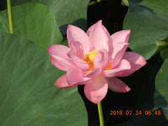 DSCN0334.JPG