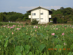 DSCN0349.JPG