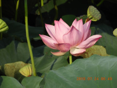 DSCN0337.JPG