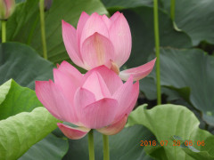 DSCN0380.JPG