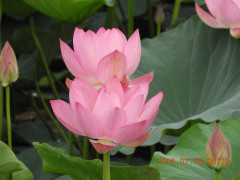 DSCN0397.JPG